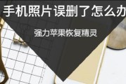 苹果手机自带软件删除恢复方法（一步步教你恢复被删除的自带软件，轻松解决手机功能缺失问题）