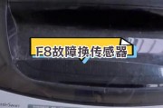 小天鹅洗衣机F8故障及解决方法（轻松应对小天鹅洗衣机F8故障）
