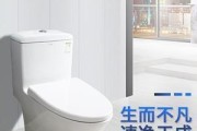 解决法恩莎马桶冲不干净的问题（探索马桶冲不干净的原因及解决方法）
