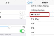 解决iPhone来电归属地错乱问题的实用方法（归属地显示错误如何处理？）