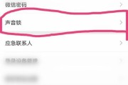 保护个人隐私，设置微信安全锁的必要性与方法（微信安全锁设置，保障个人信息安全的有效手段）