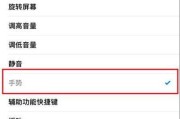 探索苹果13小白点设置的奥秘（从哪里开始找到你的小白点）