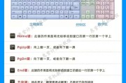 零基础如何快速学习电脑技能（从小白到大神，轻松掌握电脑技术的秘诀）