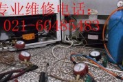 冰柜氟泄露修理指南（应对冰柜氟泄露的方法和注意事项）
