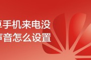 手机来电没有声音原因及解决方法（手机来电静音问题分析与解决）