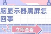 电脑老是黑屏怎么回事？如何快速诊断和解决？