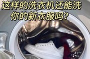 提高洗衣机清洁效果的生活小窍门（轻松清洗洗衣机）