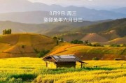 oppo手机桌面装饰有哪些创意？