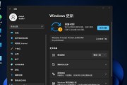 解决电脑无法运行Windows11的问题（诊断和解决Windows11无法运行的常见问题）