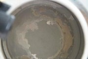 电热水壶除水垢颗粒的有效成分探析（了解电热水壶除垢的关键成分和使用方法）