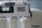 净水壶vs净水器（解析净水壶和净水器的优点与特点）