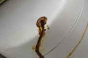电热水器内胆漏水修理方法（快速解决漏水问题）