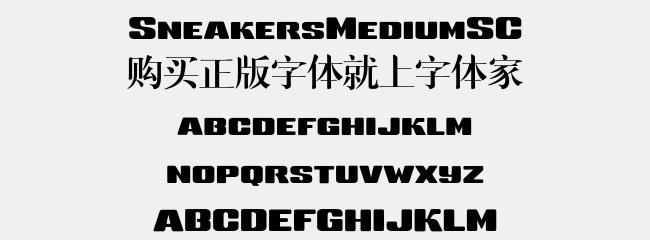 探索下载字体在电脑上的应用方法（优化文字设计，提升视觉体验）