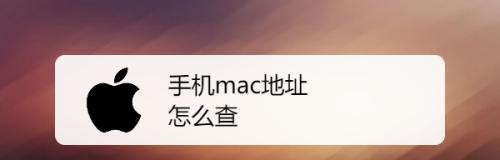如何设置MAC地址过滤功能（学习如何使用MAC地址过滤来保障网络安全）