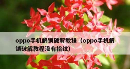 忘记手机密码，如何破解密码（手机密码破解方法详解，忘记密码急救指南）