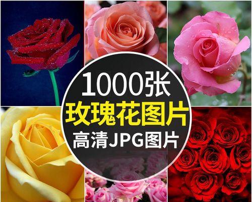 如何更改手机墙纸（简单操作教你个性化定制手机壁纸）
