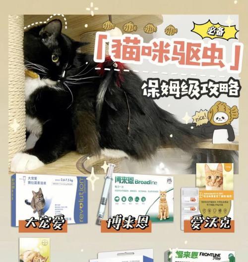 《Eshop港服支付宝购买游戏保姆级教程》（教你如何使用支付宝在Eshop港服购买游戏）