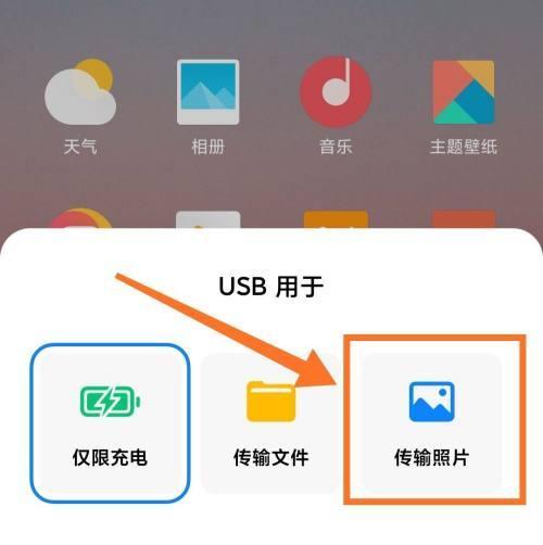 电脑鼠标选择指南（如何选择适合你的电脑鼠标）