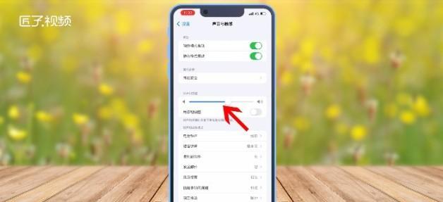 苹果来电铃声太小，如何调大？（通过简单操作，让苹果来电铃声响亮起来）