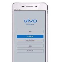 解决vivo手机密码忘记的有效方法（忘记vivo手机密码？别担心，这里有解决办法！）