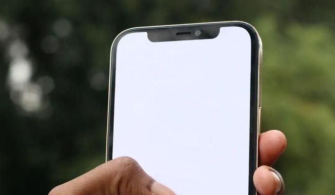 解决iPhone拍照黑屏问题的有效方法（探究iPhone拍照黑屏问题的原因及解决方案）