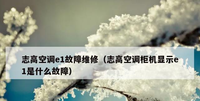 热水器打火后显示代码的解读与故障排查（热水器故障代码分析和解决方法）