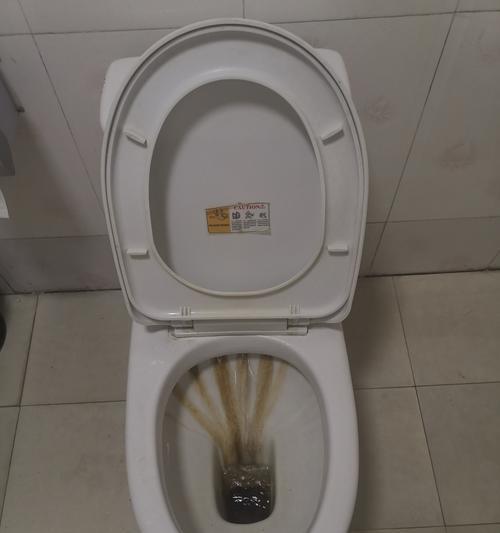 揭秘抽水马桶漏水的原因（解决家中漏水问题）