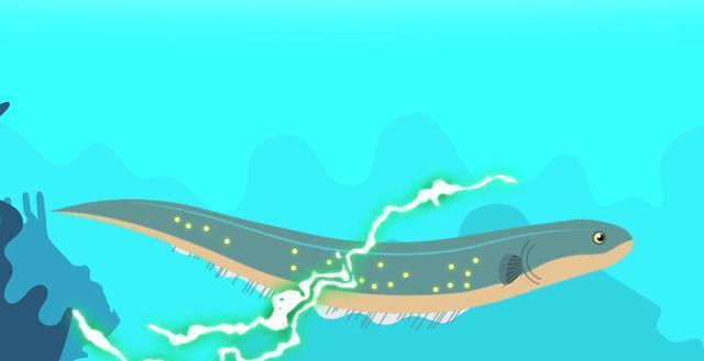 电鳗为什么会放电能电死人吗（探究电鳗放电的机制与安全性）