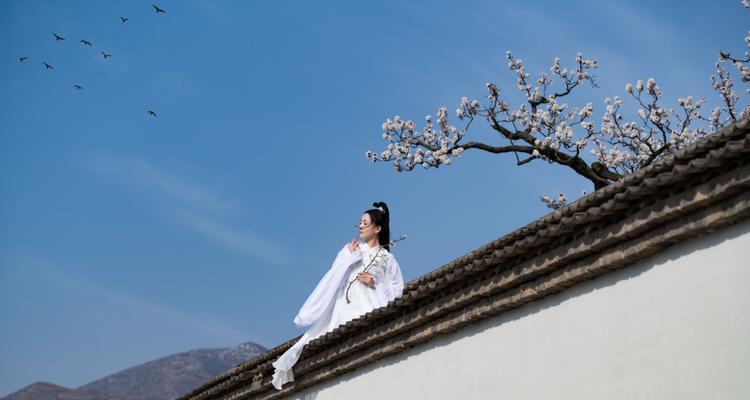 红杏出墙是什么意思（揭晓红杏出墙的典故及由来）