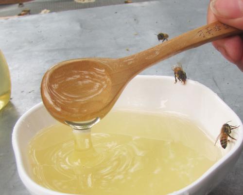 怎么看蜂蜜纯不纯（健康绿色蜂蜜的秘密解析）