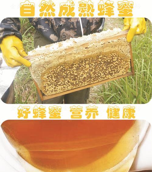 怎么看蜂蜜纯不纯（健康绿色蜂蜜的秘密解析）