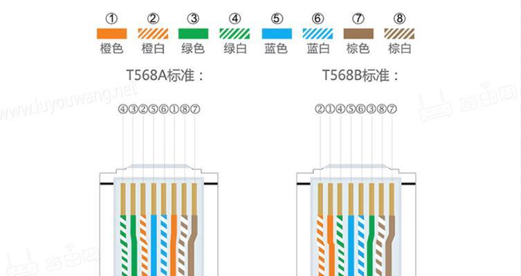 如何通过网线连接电视和路由器（快速实现高速网络传输）