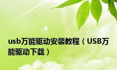 手机USB万能驱动安装指南（详解安装手机USB万能驱动的步骤及注意事项）