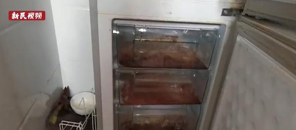 冰柜发嗅原因解析（探究冰柜散发异味的成因及处理方法）