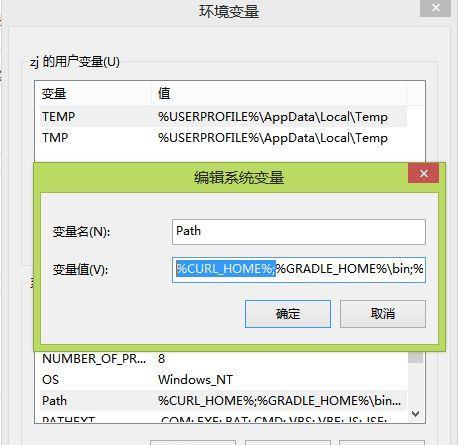 掌握Windows网络诊断和配置命令的必备知识（新手网络配置命令的全面指南）