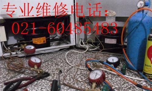 冰柜氟泄露修理指南（应对冰柜氟泄露的方法和注意事项）