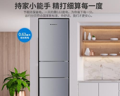 菱电磁炉故障排查及修复方法（解决菱电磁炉常见故障的实用指南）