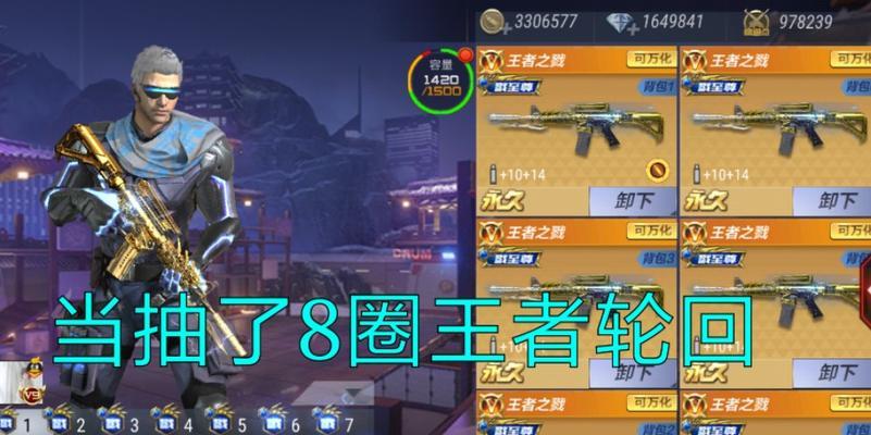 王者轮回（游戏爱好者必看）