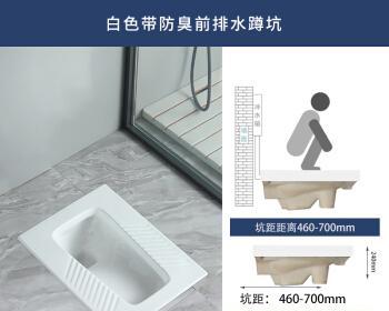 蹲便器（选择合适的蹲便器设计）