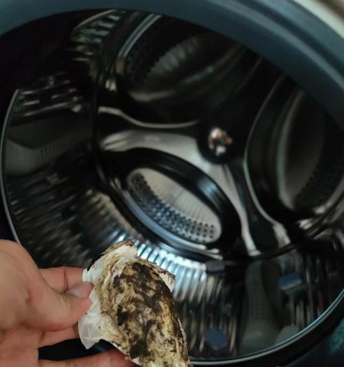 洗衣机漏水的原因及解决方法（解决洗衣机漏水问题的关键是自行检查这些地方）