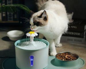 如何有效防止猫饮水机发霉（快速清洁和正确使用是关键）