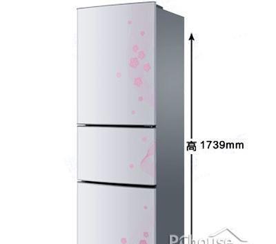 冰箱能效等级解析（如何选择最佳能效等级的冰箱）