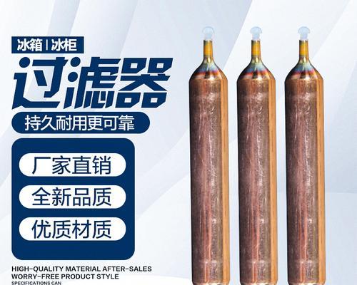 冰箱过滤器更换指南（轻松学会更换冰箱过滤器）