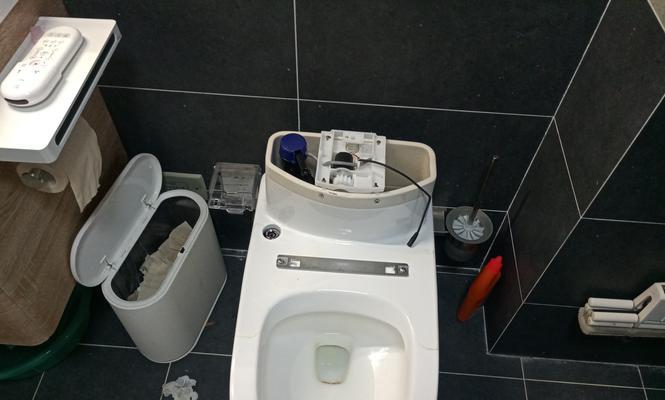 马桶水箱漏水的原因及维修方法（解决马桶水箱漏水的关键步骤）