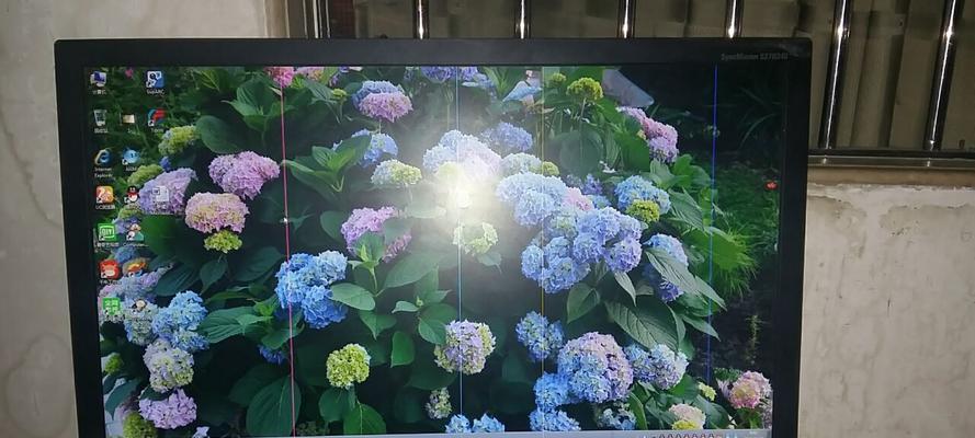 显示器竖线修复方法（解决显示器竖线问题的实用方法及技巧）