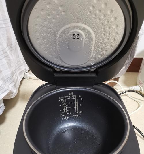 蒸汽电饭煲故障排除指南（解决蒸汽电饭煲常见故障的方法和技巧）