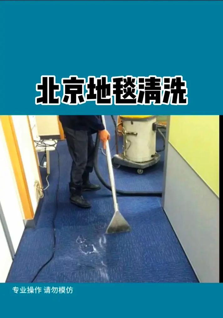 如何高效地清洗地毯（让你的地毯焕然一新）