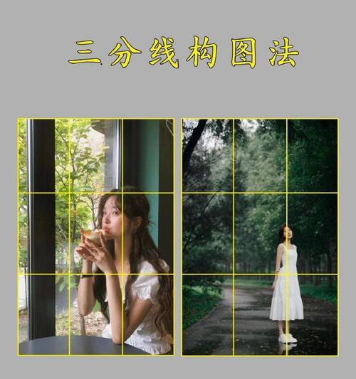 摄影构图技巧入门教程？如何快速掌握摄影构图？