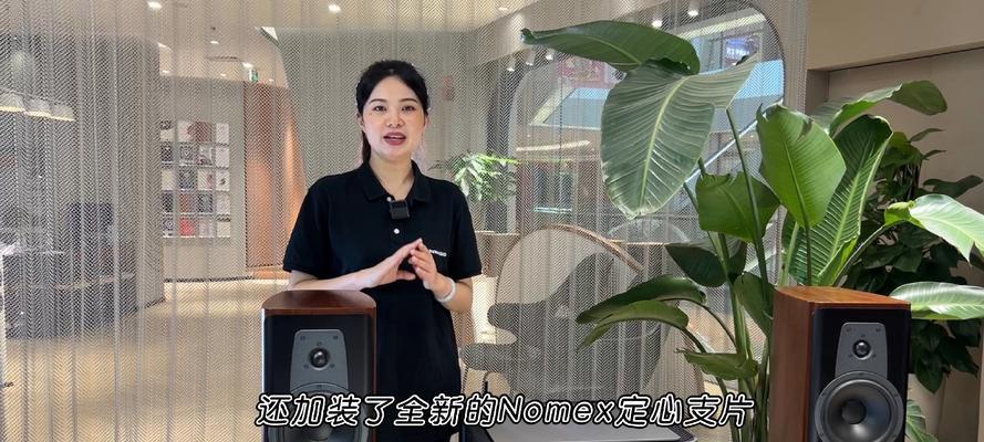 丹拿音箱搭配功放的最佳方法是什么？常见误区有哪些？