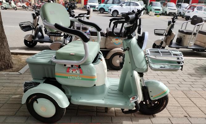 电动车排行榜性价比高？2024年哪些电动车品牌值得购买？
